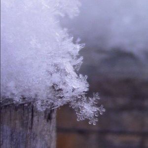 Meet your Posher, Barbara